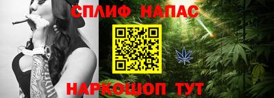МДПВ Моздок