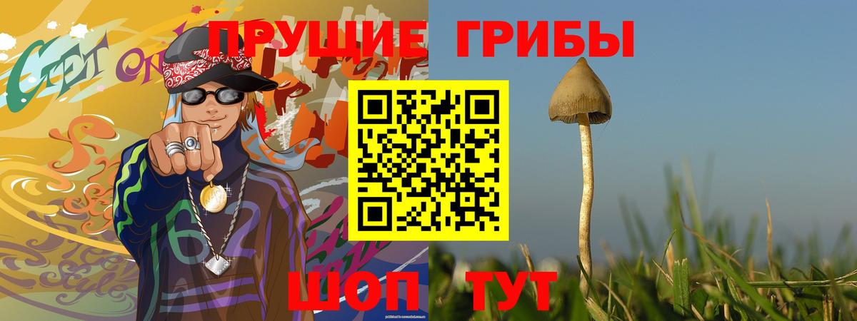 Псилоцибиновые грибы мухоморы  Псилоцибиновые грибы мицелий  Стрежевой  где можно купить наркотик  Вход с VPN 